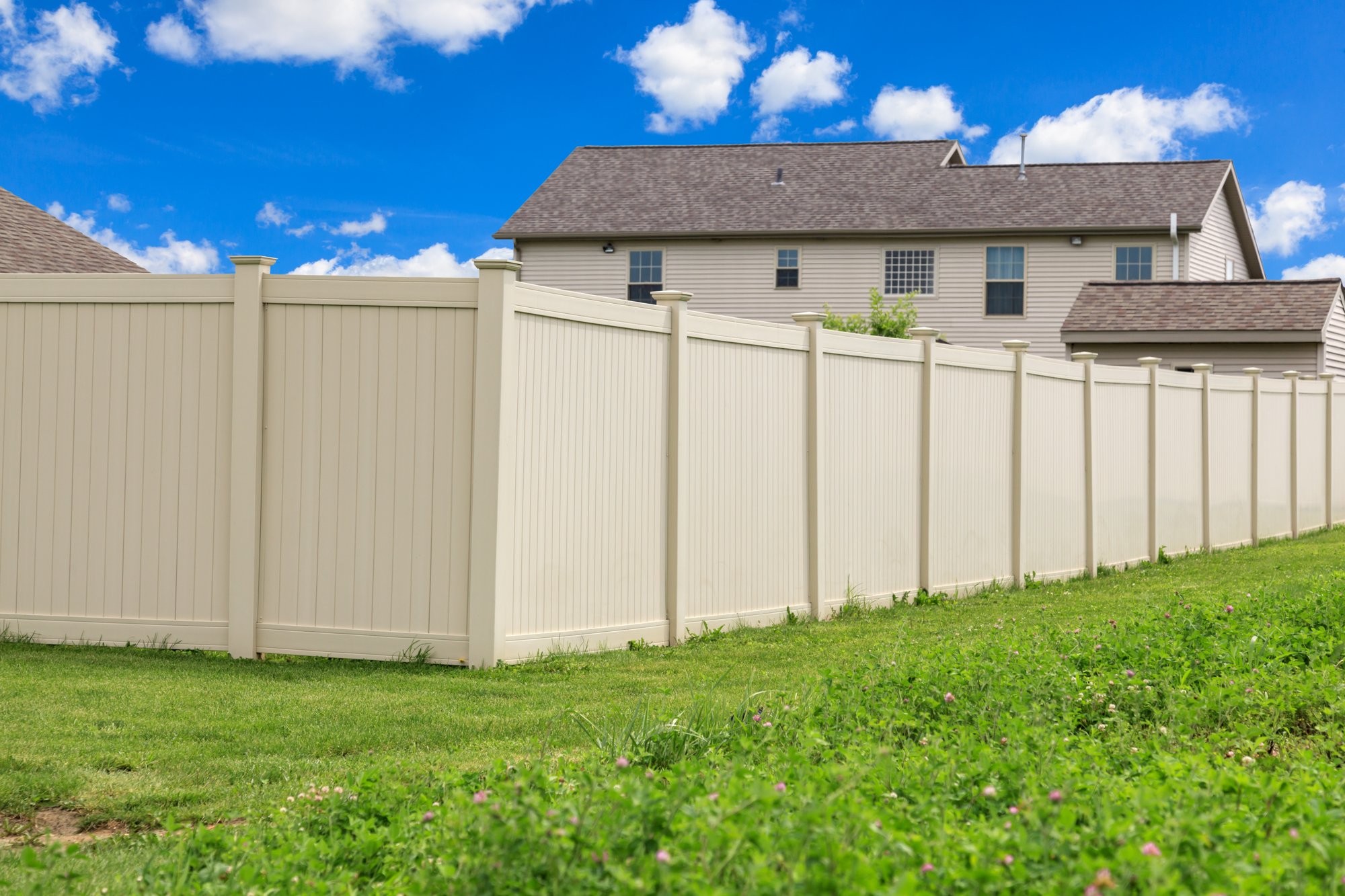 AdobeStock_241468986-1 AdobeStock_241468986-1